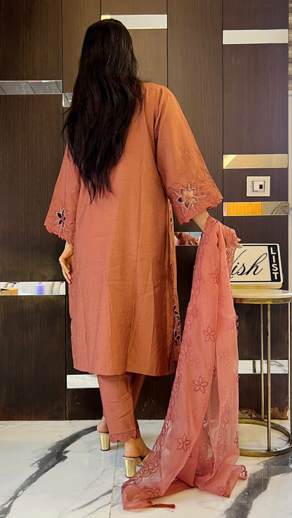 Nazm Pakistani Formal Set 25