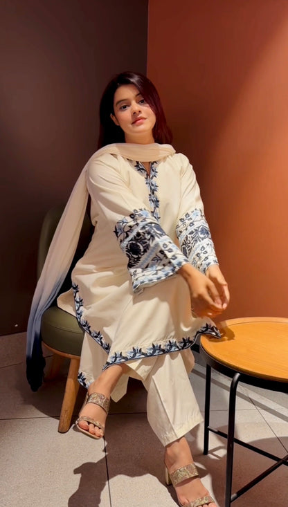 Shayraana Pakistani Set 01