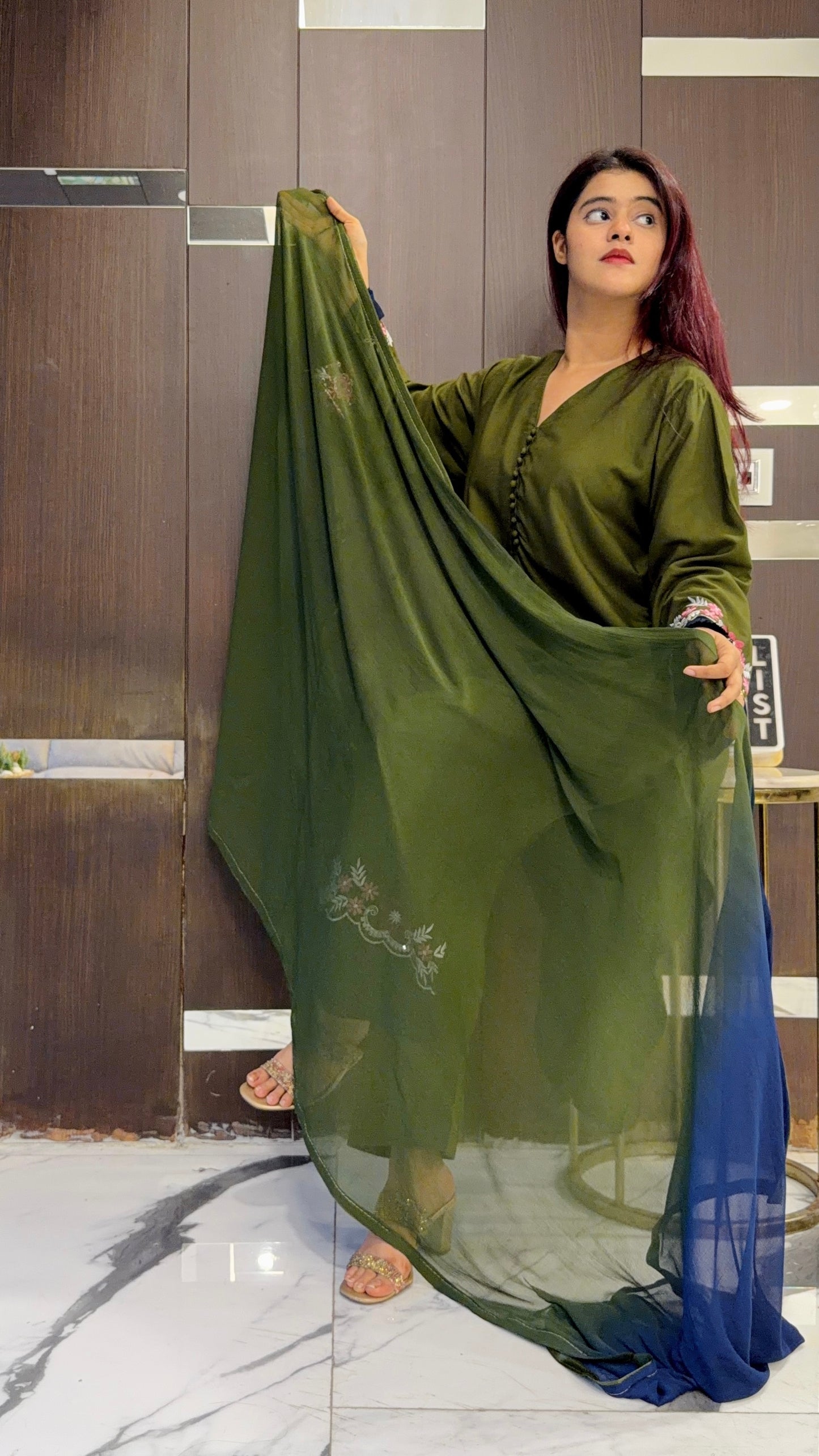 Shayraana Pakistani Set 02