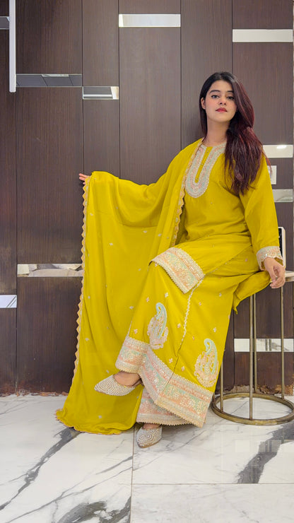 Nazneen Pakistani Sharara Set 10