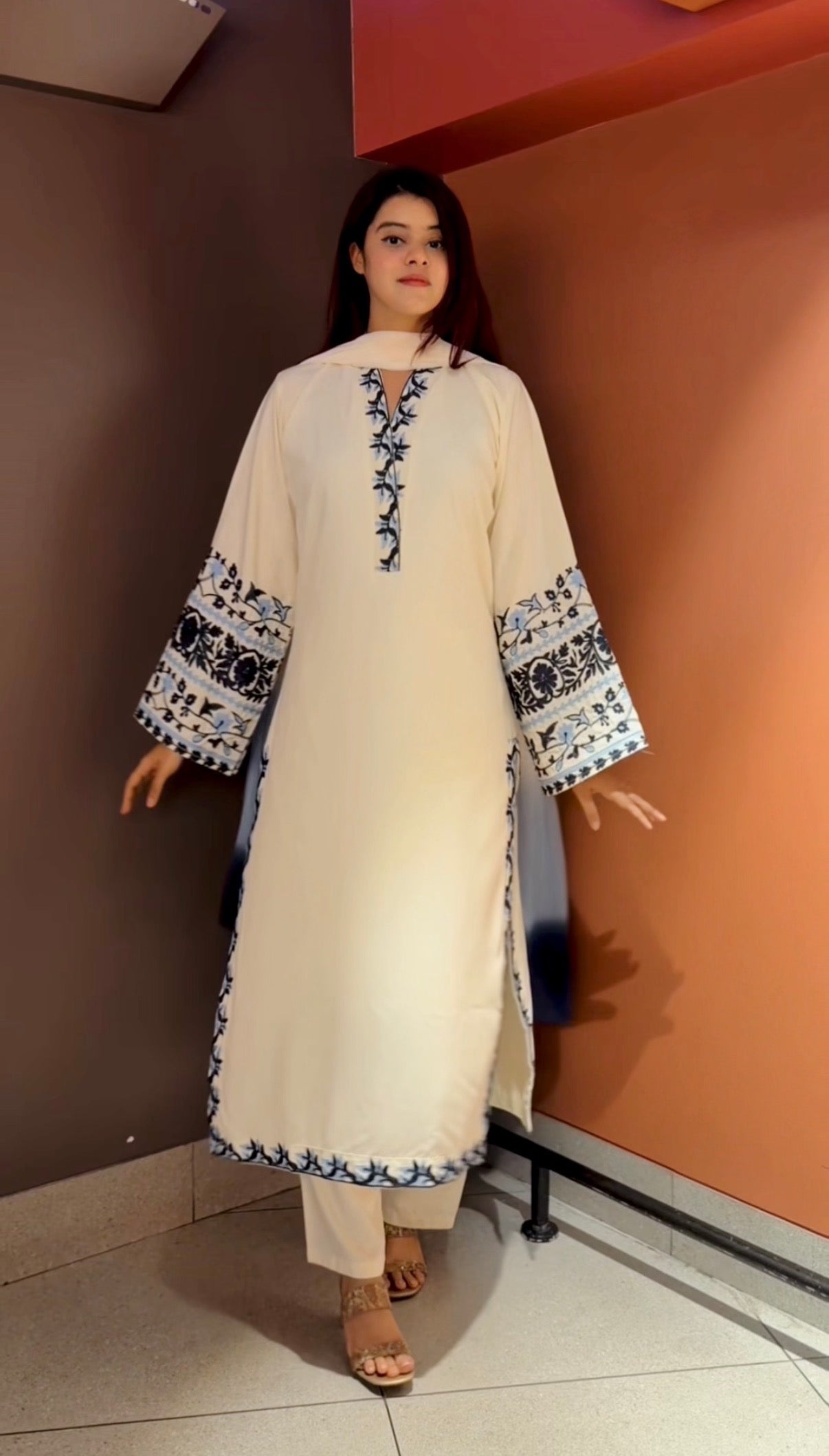 Shayraana Pakistani Set 01